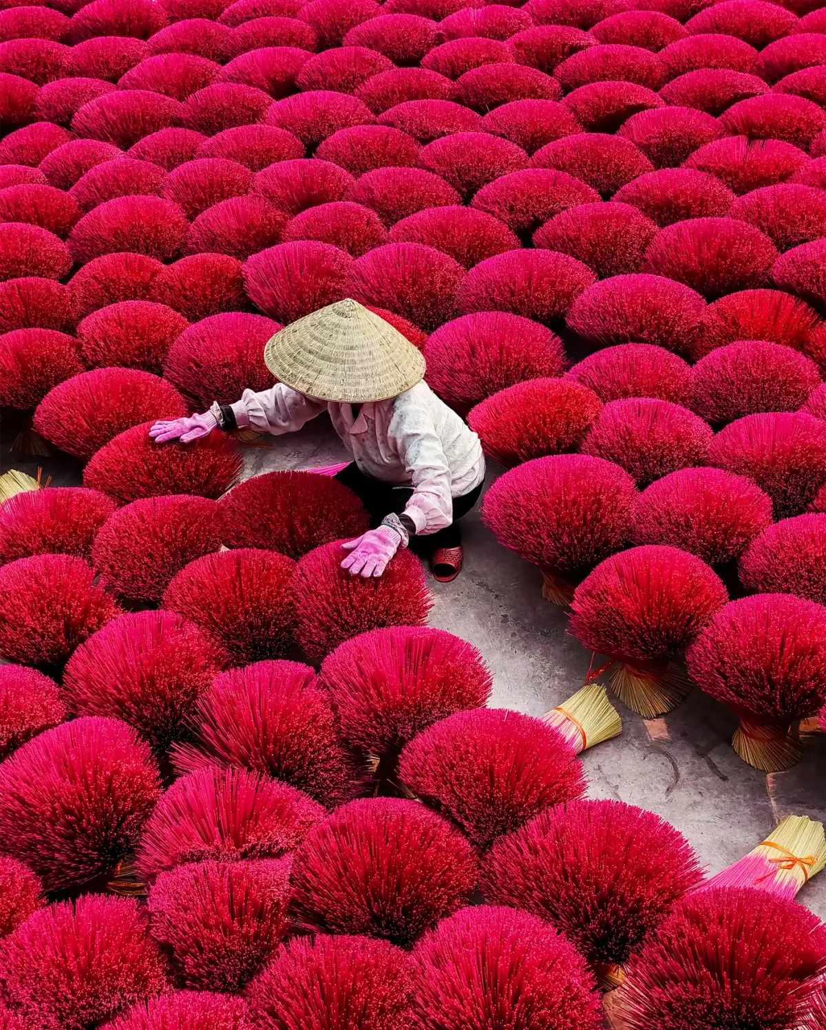 A field of red incense sticks drying in the sun